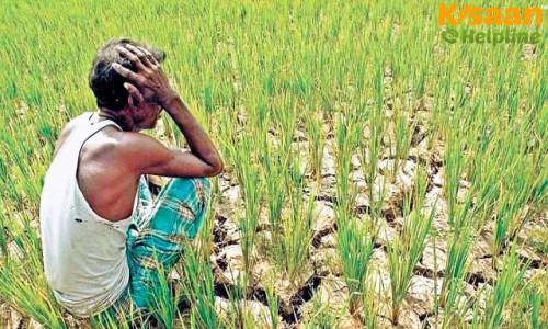 खेती में बढ़ती लागत किसानों के लिए चिंता का विषय
